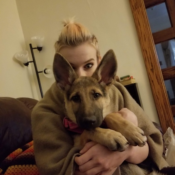 Meet your Posher, Susie - Picture 5 of 8